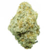 MAC 7 strain