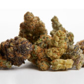 Free 2g House Kush Weed