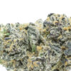 Holy Grail Strain