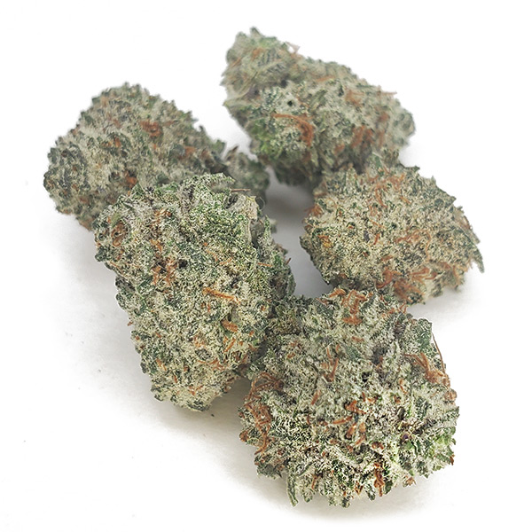 Gorilla Glue #4 strain