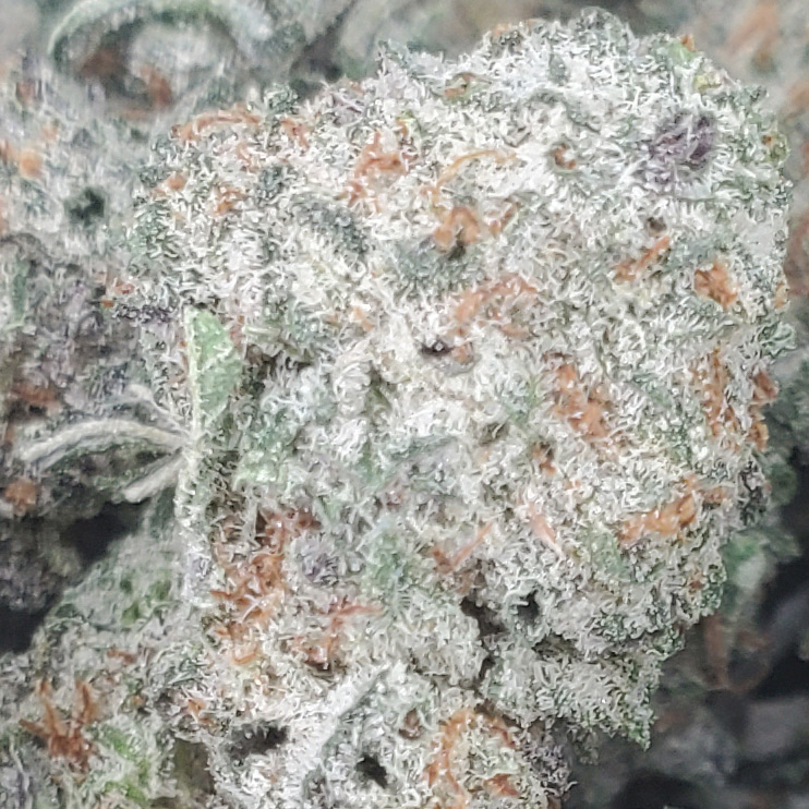 Gorilla Glue #4 strain