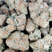 Mango Haze Marijuana Strain