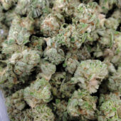FREE Cannabis 7g