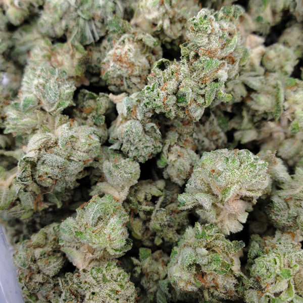 FREE Cannabis 7g