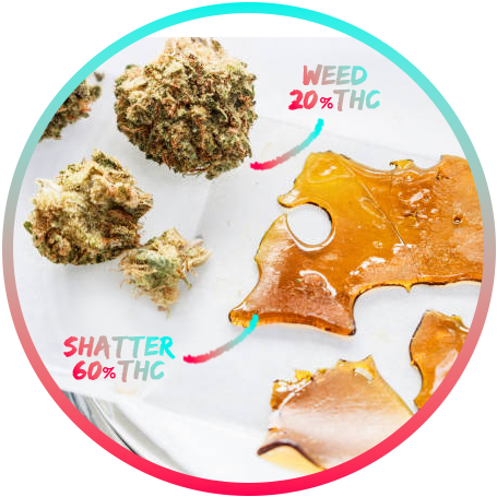 Weed Potency versus Weed Shatter Potency image