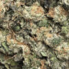 Thin Mint Strain