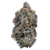 Garlic Breath Strain