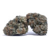 Jet Fuel Gelato Strain