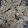 Jet Fuel Gelato Strain