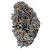 Jet Fuel Gelato Strain