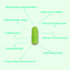 Delic Therapy – Boost Shroom Capsules 3000mg (Micro-dose) Infographic
