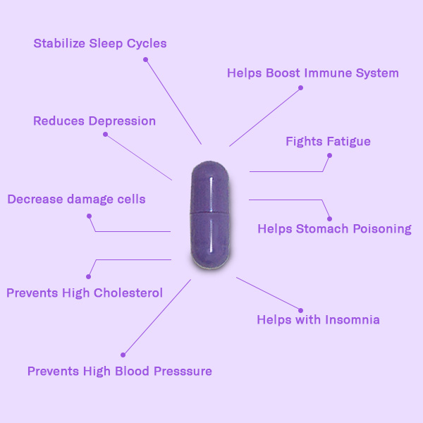 Delic Therapy – Calm Shroom Capsules 3000mg (Micro-dose) Infographic