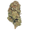 9lb Hammer Marijuana Strain