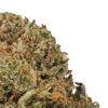 9lb Hammer Marijuana Strain
