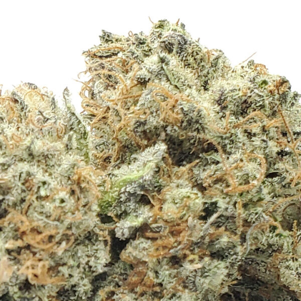 Blackberry OG Marijuana Strain