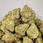 Sugar Cookie Marijuana Strain