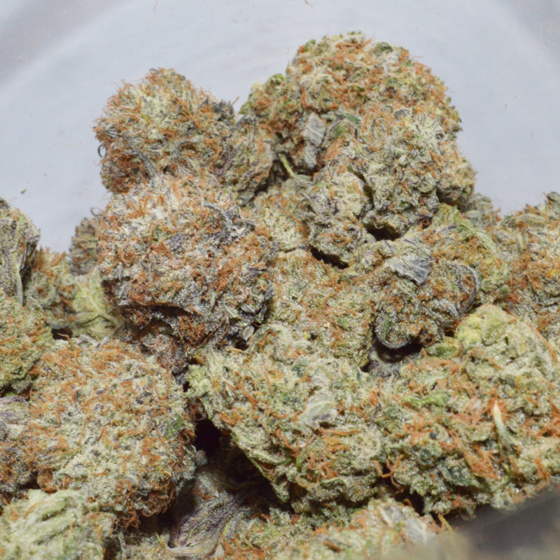 Sugar Cookie Vancouver Weed Delivery