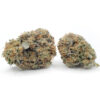 Super Skunk Marijuana Strain