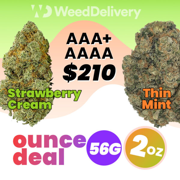 2Oz (56G) Deal | AAA+ & AAAA - Strawberry Cream & Thin Mint