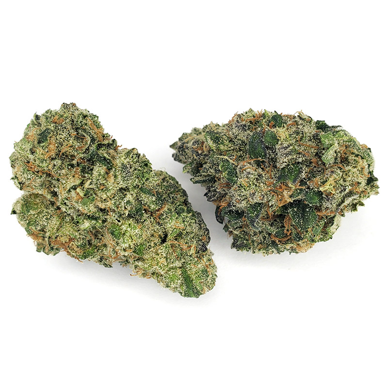 9 lb Hammer Marijuana Strain