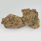 Purple Haze Marijuana Strain