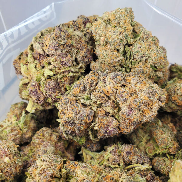 Purple Haze Marijuana Strain