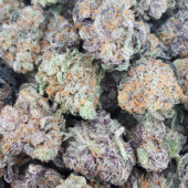 Purple Urkle Marijuana Strain