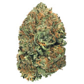 Cali Kush Marijuana Strain