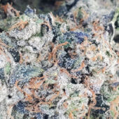 Gas Mask Marijuana Strain