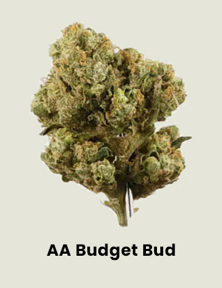 Shop AA Budget Bud