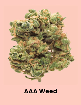 Shop AAA Weed