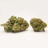 9lb Hammer Marijuana Strain