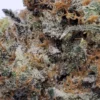 Big Nasty Kush Strain