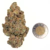Big Nasty Kush Strain