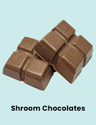 Buy shroom chocolate