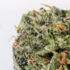 Gassy Pinks Marijuana Strain