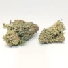 Jungle Diamond strain
