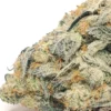 LA Kush Cake strain