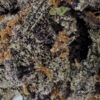 Platinum Kush Breath Marijuana Strain