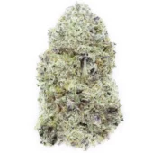 Purple Space Cookies marijuana strain