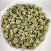 Tropicana Haze Marijuana Strain