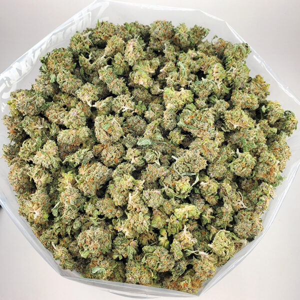 Tropicana Haze Marijuana Strain