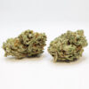 Citrus Tsunami Marijuana strain