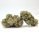Pink Rockstar Marijuana Strain