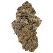 Zombie Pie Marijuana Strain
