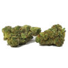 Amnesia Haze Marijuana Strain