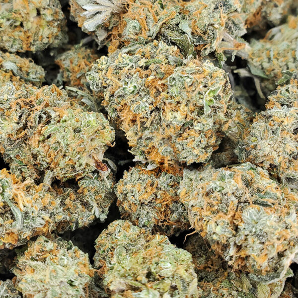 OG Kush Marijuana Strain