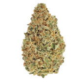 Citrique Marijuana Strain