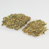 Citrique Marijuana Strain