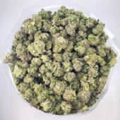 Rockstar Marijuana Strain